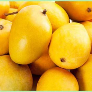 Mango Safeda